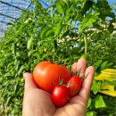 환원농장 이미지