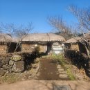 성읍민속마을오메기술 | 제주 <술다끄는집> 제주 전통 오메기술에 빠지다.