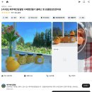 소나무목장 | 제주 목장 카페 제주도 서귀포 대한목장 홀스테라피 체험