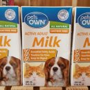 폼나"개" 이미지