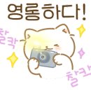 삼성커텐 이미지
