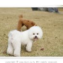초코랑보리랑 네이버블로그