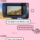 평화7080 | 2025년 효천역-파주 DMZ 광주평화열차 후기