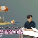 분양