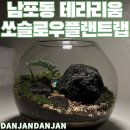 o 5. 남포동데이트 쏘슬로우 플랜트랩 테라리움 만들기 원데이클래스 후기