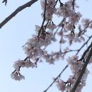 나산 이미지