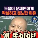 문재인에게 반드시 해야 할 말 이미지