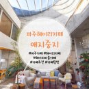 애지중지페이보릿커피 | 파주 헤이리마을 카페 애지중지페이보릿커피에서 베프들과 데이트