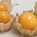 과일마트 이미지