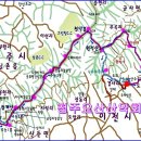 제1062회 3월25일(월) 이천, 여주, 광주 원적산(634M) (산수유축제) 이미지