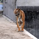 달성공원 이미지