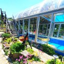 동해어때펜션 이미지