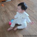 두뇌발달 촉감놀이 꼼지락(6~9개월) | 블루래빗 오감발달 첫 토이북 풀세트 | 11개월 아기 언어발달 놀이루틴