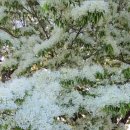 중산리 간이화장실 이미지