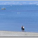 오동도로 이미지