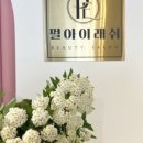 펄아이래쉬