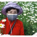 사진반(스마트폰) 이미지