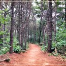 의료법인 큰나무의료재단 이미지