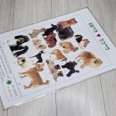 사랑가득 동물병원 이미지