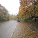 중앙초등길 이미지