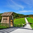 영락목장 이미지