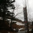 산천송어 이미지