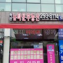 도시의 오후 이미지