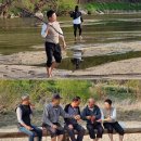 낭만 물고기 이미지