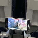 에어프레미아 창이공항 새벽도착, 드 리조트 다운타운 이스트 숙소 솔직 후기 / 드 리조트 셔틀버스 정보