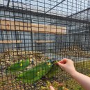 교동농장 이미지