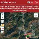 장성터널 Daum카페