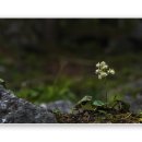 수산리-14 이미지