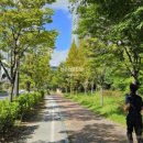 삼천대여소 이미지