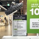 NCT WISH 포토카드 POP 이미지
