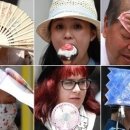 빙과나라
