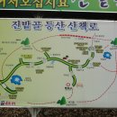 진밭1교 이미지