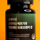 케어핏 이미지