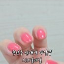 시그널네일