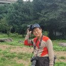 대석리 지석묘군 이미지