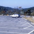 주정차39 이미지