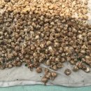 홍산농장 이미지