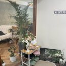 네일브와
