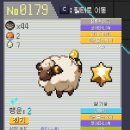 파이리코 | 포켓로그 홍대병용 스토리 푸키먼 추천