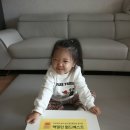 그림월드 | 맥밀런 월드베스트 그림책 체험단 언박싱 후기