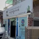 수심당구장 | 창원프리다이빙 마산프리다이빙 입문, 마린버블다이브 1:2 체험 솔직후기