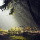 구리여자고등학교 이미지