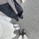 (주)보보소프트 | 名古屋, 다카야마&amp;시라카와고 버스 투어🚌◭◮⛰︎𖥉៳ׄ