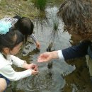 섬진강도깨비마을 이미지