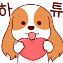 비비드 힐 이미지