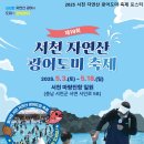 토도미 티스토리